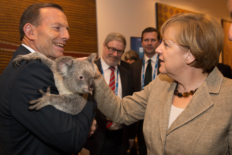 Illustration for article titled Stray Cats Invade the G20 Summit, Bold as Can Be